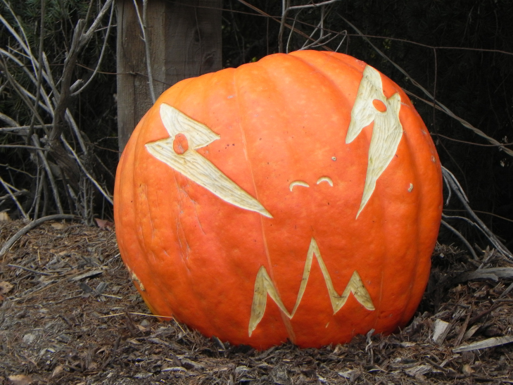 Lighting, Nipomo Pumpkin Patch best carving idea